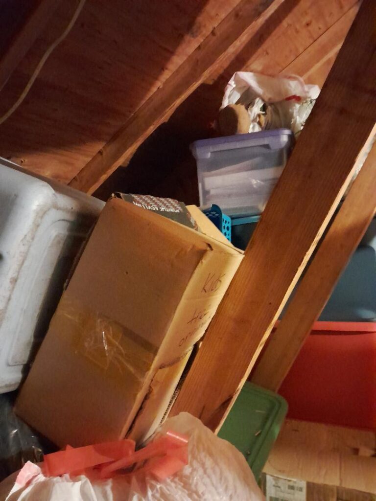 Declutter the Attic View Before