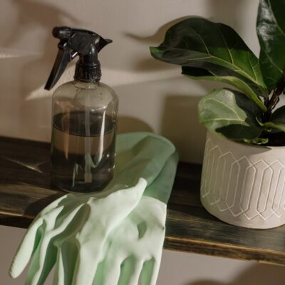 Simplified Daily Cleaning Routine