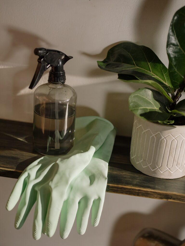 Simplified Cleaning Routine