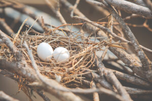 I'm Amy, Empty Nester