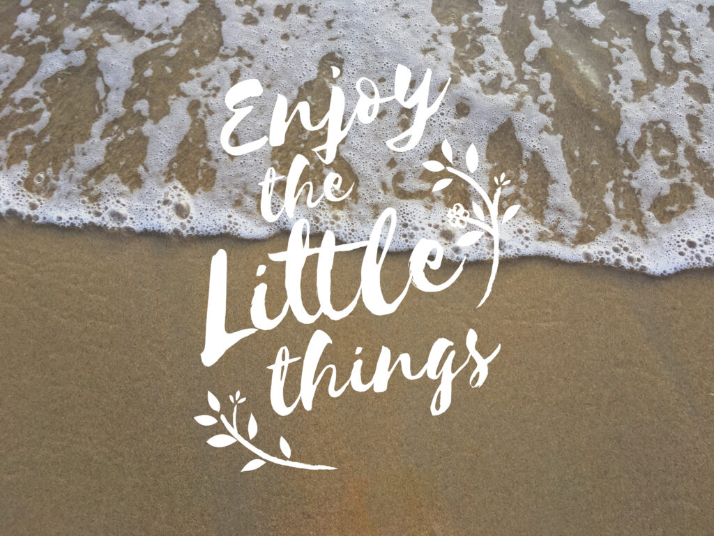 Live with Joy and Happiness every day. The little things.