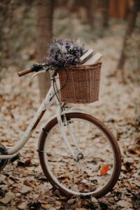 slow down, bike ride